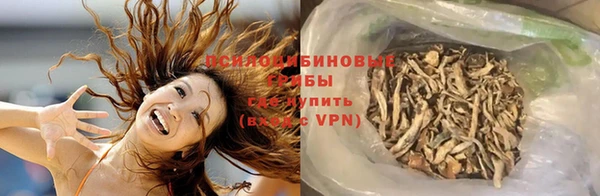 марки lsd Богданович