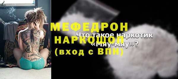 гашик Зуевка