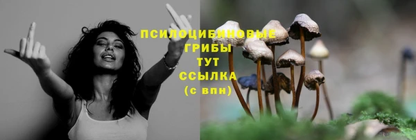 эйфоретик Богородск