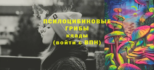 эйфоретик Богородск